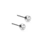 Blomdahl Bezel Øredobber Titanium 15-1401-01