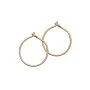 Blomdahl Ear Ring Øredobber Titanium 15-1352-00