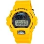 Casio G-Shock 30th Anniversary DW-6900TR-9ER