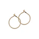 Blomdahl Ear Ring Øredobber Titanium 15-1351-00