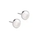Blomdahl ST Bezel Pearl Øredobber Titanium 15-1406-59