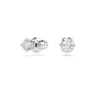 Swarovski Stilla Attract Stud Øredobber Metal 5408436