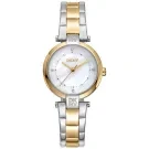 DKNY Essential Mini DK1L043M0075