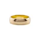 IX Studios Class Ring Gullforgylt sølv DMN0295GD