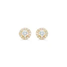 Diamond Dream Rosette Øredobber Gull 0,36 ct. 01-511010