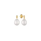 Gaura Natural Pearls Pearl Øredobber Gullforgylt sølv MS24495YE
