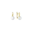 Gaura Natural Pearls Pearl Øredobber Gullforgylt sølv SK25243GYEL