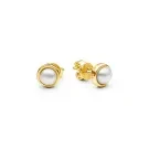 Gaura Natural Pearls Pearl Øredobber Gullforgylt sølv SK26351GYE