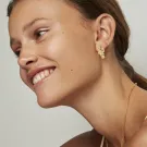 Polar Jewellery Øredobber Gullforgylt sølv PRI-ST-GD-WZ-00310