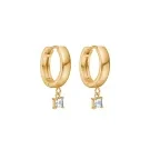 Velara Lione Crystal Pendant Drops Øredobber Gullforgylt Rustfritt Stål VLR1013