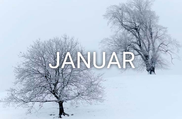To trær i snøen med teksten Januar
